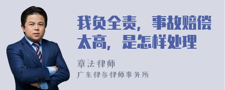 我负全责，事故赔偿太高，是怎样处理