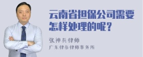 云南省担保公司需要怎样处理的呢？