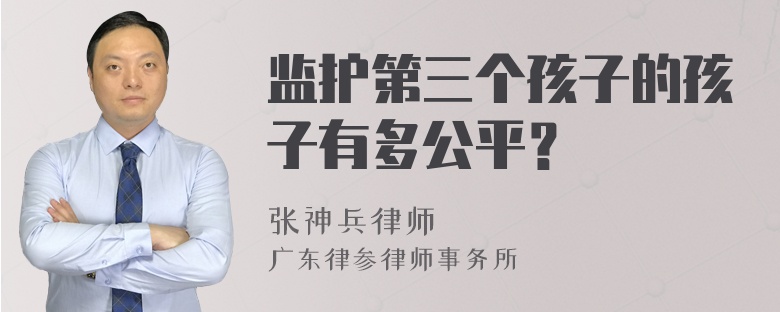 监护第三个孩子的孩子有多公平？