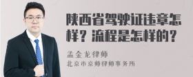 陕西省驾驶证违章怎样？流程是怎样的？