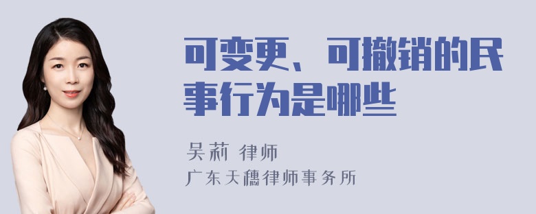 可变更、可撤销的民事行为是哪些