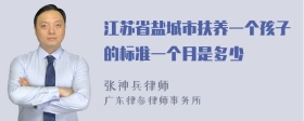 江苏省盐城市扶养一个孩子的标准一个月是多少