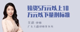 赌资5万元以上10万元以下量刑标准