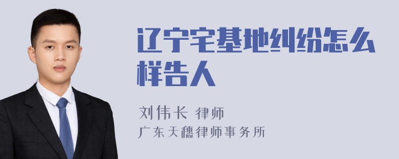 辽宁宅基地纠纷怎么样告人