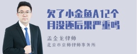 欠了小金鱼A12个月没还后果严重吗