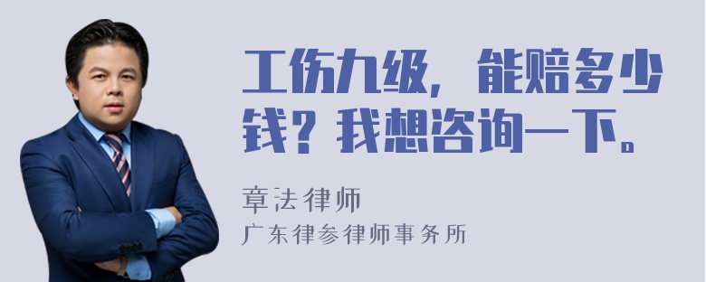 工伤九级，能赔多少钱？我想咨询一下。