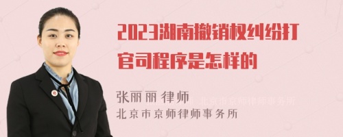 2023湖南撤销权纠纷打官司程序是怎样的