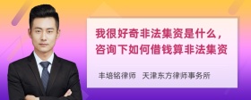 我很好奇非法集资是什么，咨询下如何借钱算非法集资