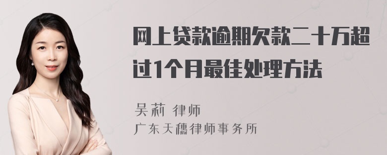 网上贷款逾期欠款二十万超过1个月最佳处理方法