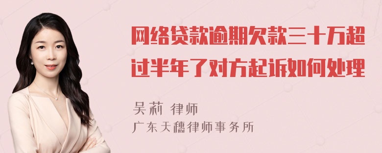 网络贷款逾期欠款三十万超过半年了对方起诉如何处理