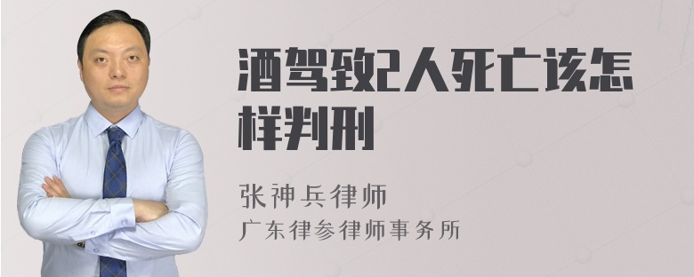 酒驾致2人死亡该怎样判刑