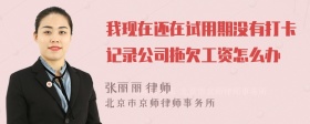 我现在还在试用期没有打卡记录公司拖欠工资怎么办