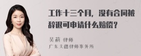 工作十三个月，没有合同被辞退可申请什么赔偿？