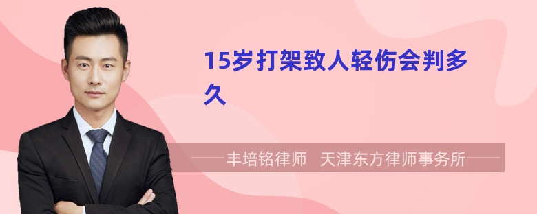 15岁打架致人轻伤会判多久