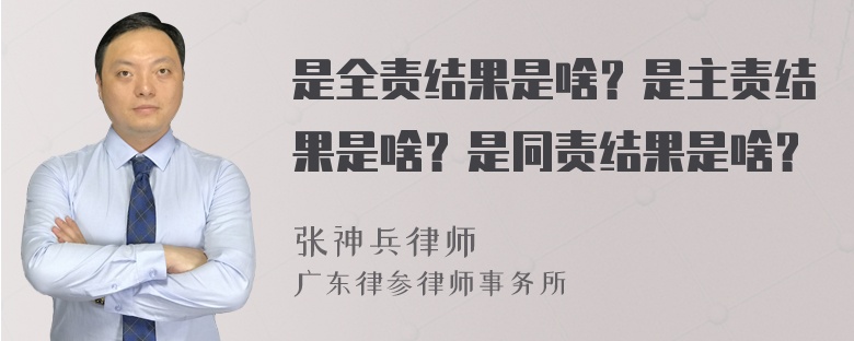 是全责结果是啥？是主责结果是啥？是同责结果是啥？