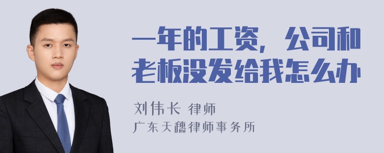 一年的工资，公司和老板没发给我怎么办