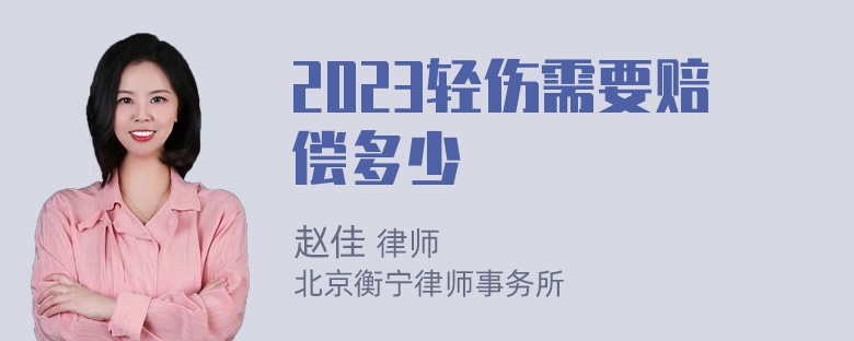 2023轻伤需要赔偿多少