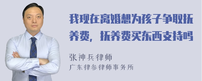 我现在离婚想为孩子争取抚养费，抚养费买东西支持吗