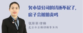 欠小贷公司的钱还不起了，房子会被拍卖吗