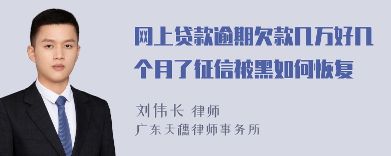 网上贷款逾期欠款几万好几个月了征信被黑如何恢复