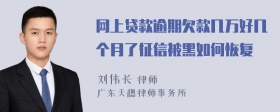 网上贷款逾期欠款几万好几个月了征信被黑如何恢复