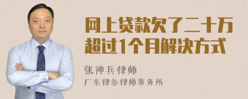 网上贷款欠了二十万超过1个月解决方式