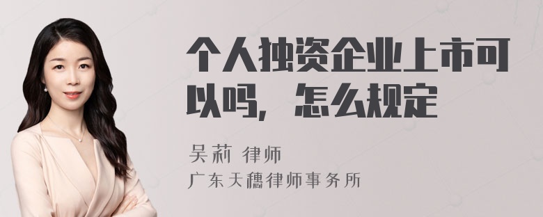 个人独资企业上市可以吗，怎么规定