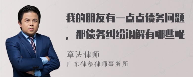 我的朋友有一点点债务问题，那债务纠纷调解有哪些呢