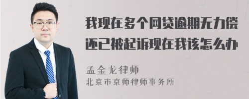 我现在多个网贷逾期无力偿还已被起诉现在我该怎么办