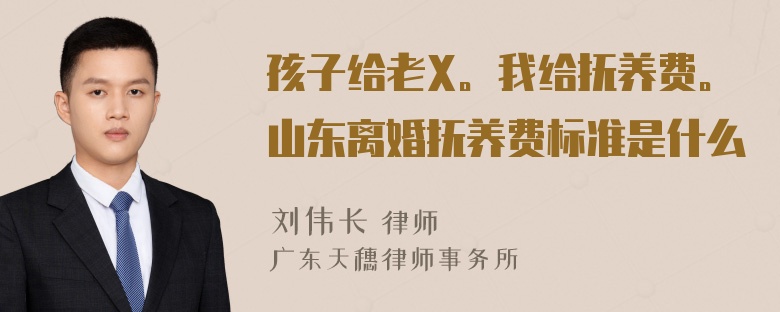 孩子给老X。我给抚养费。山东离婚抚养费标准是什么