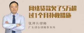 网络贷款欠了5万超过1个月补救措施