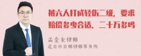 被六人打成轻伤二级，要求赔偿多少合适．二十万多吗