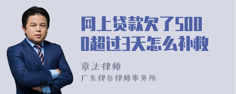 网上贷款欠了5000超过3天怎么补救