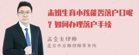 未婚生育小孩能否落户口呢？如何办理落户手续