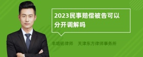 2023民事赔偿被告可以分开调解吗