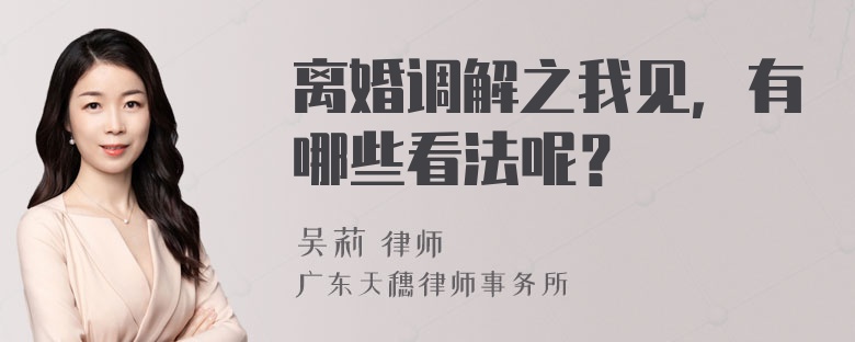 离婚调解之我见，有哪些看法呢？