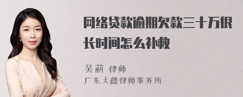 网络贷款逾期欠款三十万很长时间怎么补救