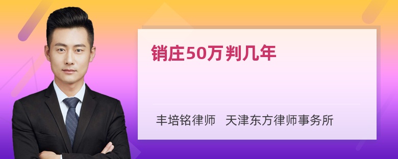 销庄50万判几年