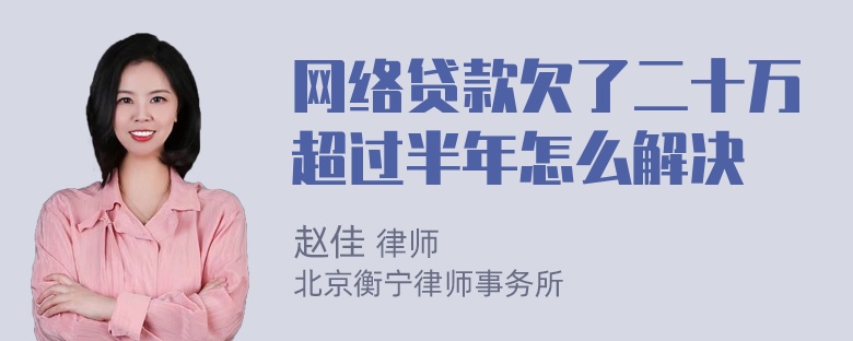 网络贷款欠了二十万超过半年怎么解决