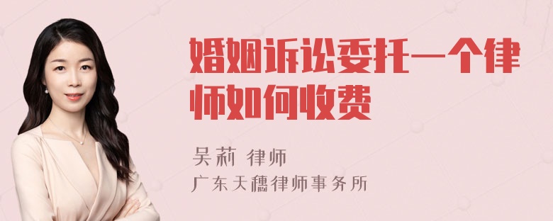 婚姻诉讼委托一个律师如何收费