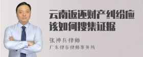 云南返还财产纠纷应该如何搜集证据