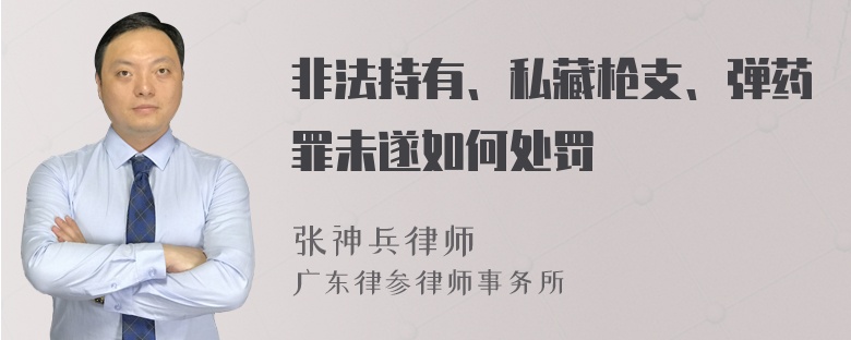 非法持有、私藏枪支、弹药罪未遂如何处罚