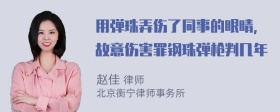 用弹珠弄伤了同事的眼睛，故意伤害罪钢珠弹枪判几年