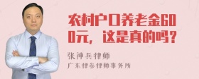 农村户口养老金600元，这是真的吗？