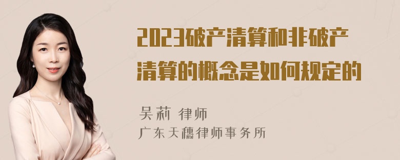 2023破产清算和非破产清算的概念是如何规定的