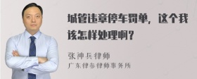 城管违章停车罚单，这个我该怎样处理啊？