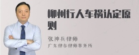 柳州行人车祸认定原则