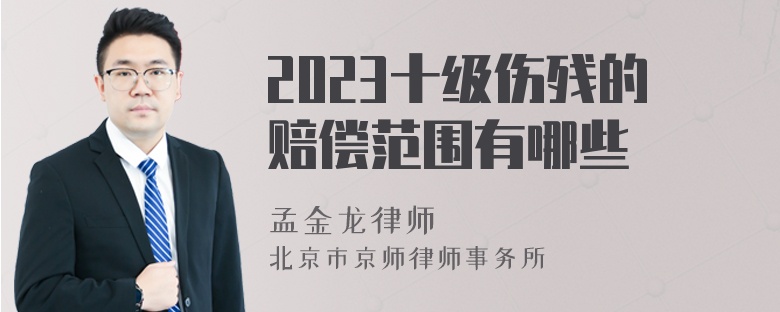 2023十级伤残的赔偿范围有哪些