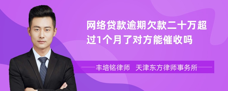 网络贷款逾期欠款二十万超过1个月了对方能催收吗