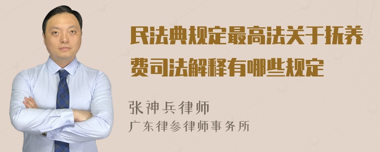 民法典规定最高法关于抚养费司法解释有哪些规定